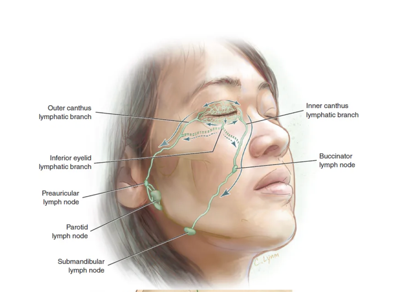 Face Training Academy